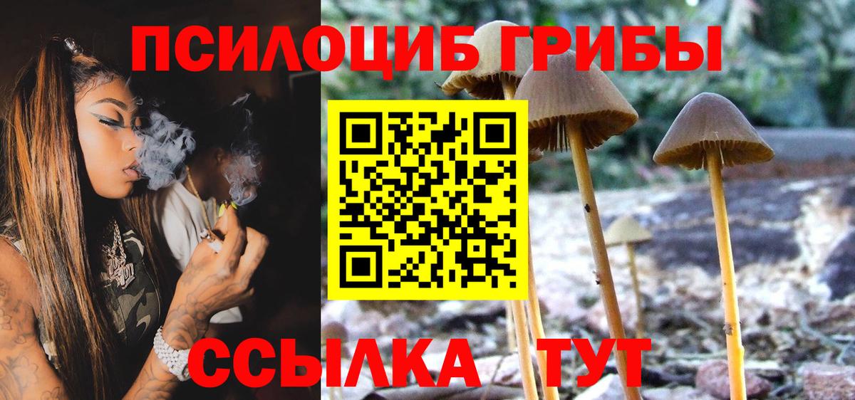 Галлюциногенные грибы Cubensis Луховицы