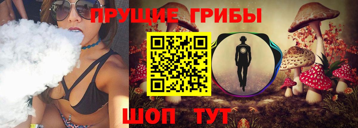 как найти   Вход с VPN  Луховицы  Псилоцибиновые грибы Psilocybine cubensis 